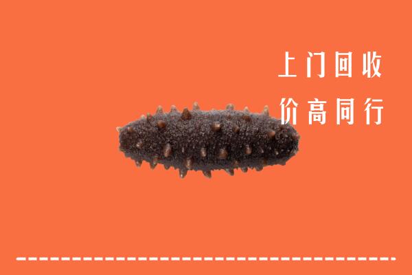 遂宁蓬溪县回收海参