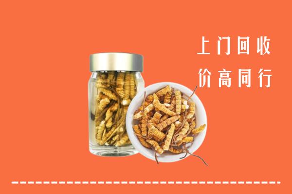 遂宁蓬溪县回收冬虫夏草